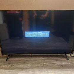 43" Vizio Television 