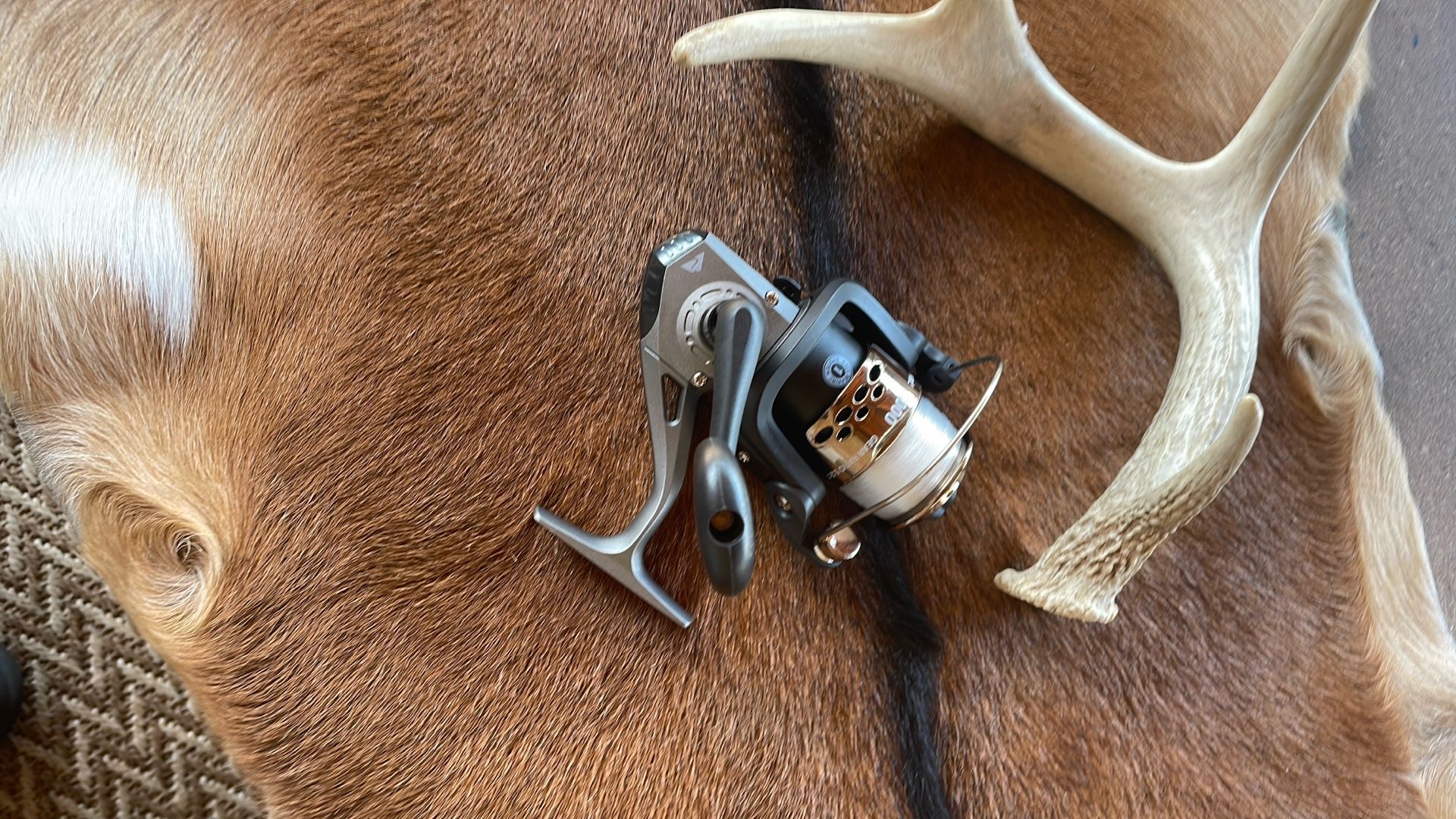 Ozark Trail Spinning Reel