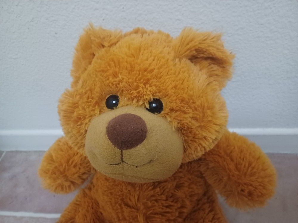 The Petting Zoo - Teddy Bear