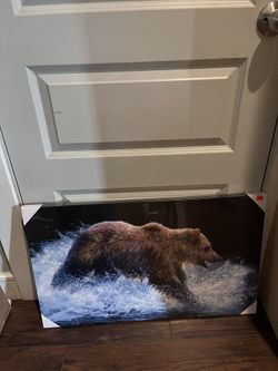 Large Animal Prints
