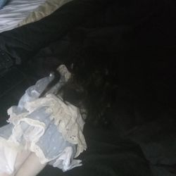 Gorgeous Realistic Porcelain Doll 