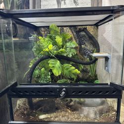 Reptile enclosure Cage