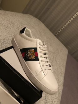 Gucci Ace