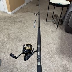 Californian Tri-Helix / Daiwa BG Saltwater Fishing Combo