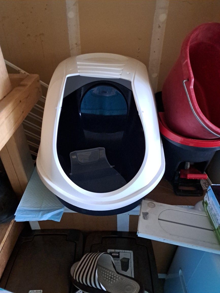 Cat Litter (Free)
