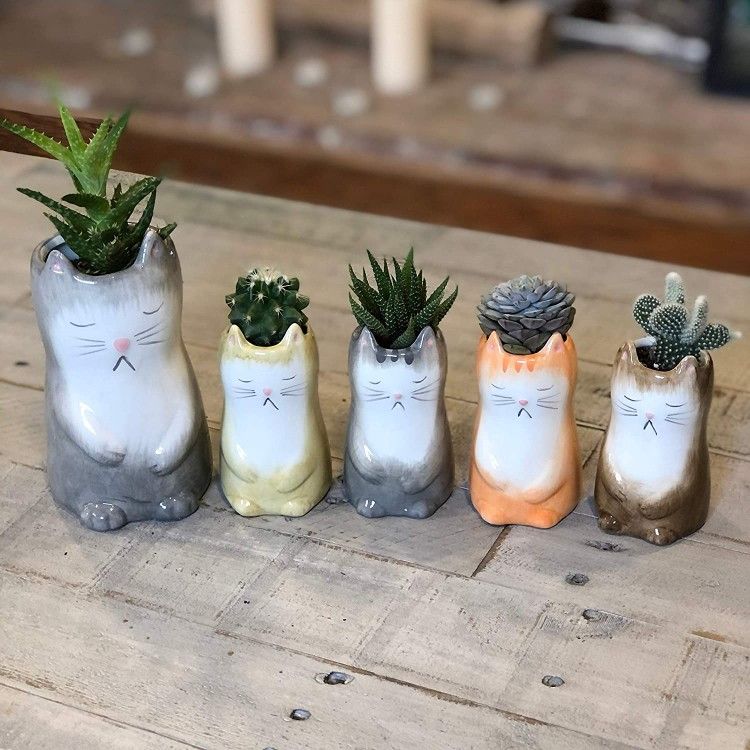 Cat Succulent Pots with Drainage - 5 Pack - Ceramic Set Includes 1 Larger Cat Planter and 4 Smaller Kitten Planters - Perfect for Succulents, Cactus 