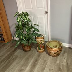 Plant With  Pot  & Umbrella Stand 