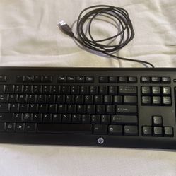 Wired Hp Keyboard  (Matte Black)