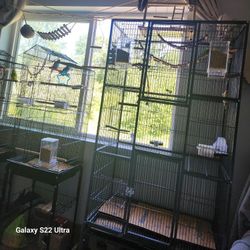 Free Bird Cage