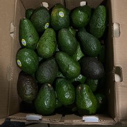 Fresh Hass Avocado/Aguacate About 48pcs 