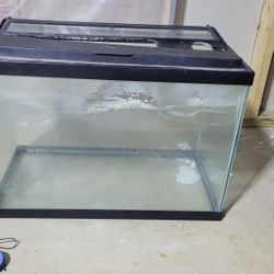 Fish Tank And Gravel 