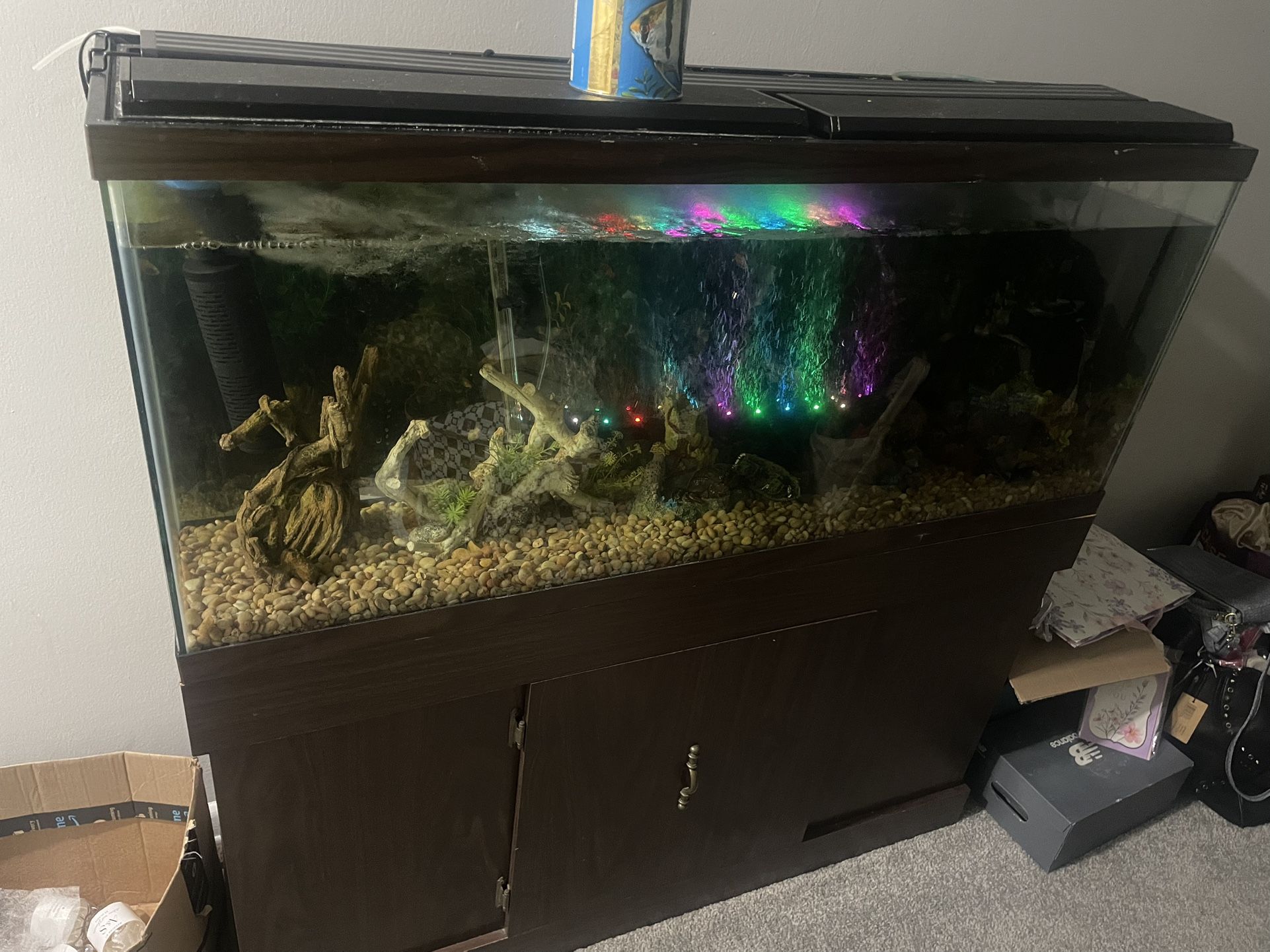 55 Gallon Fish Tank