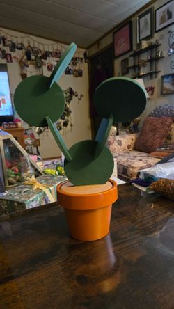 Coaster Cactus Plant