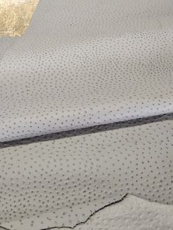 Grey Ostrich Leather