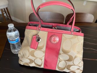 👛 purse, clean
