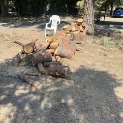 Free Pine Oak