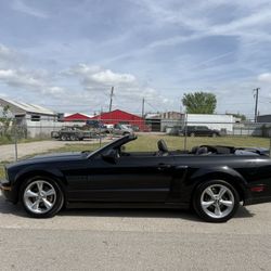 2008 Ford Mustang