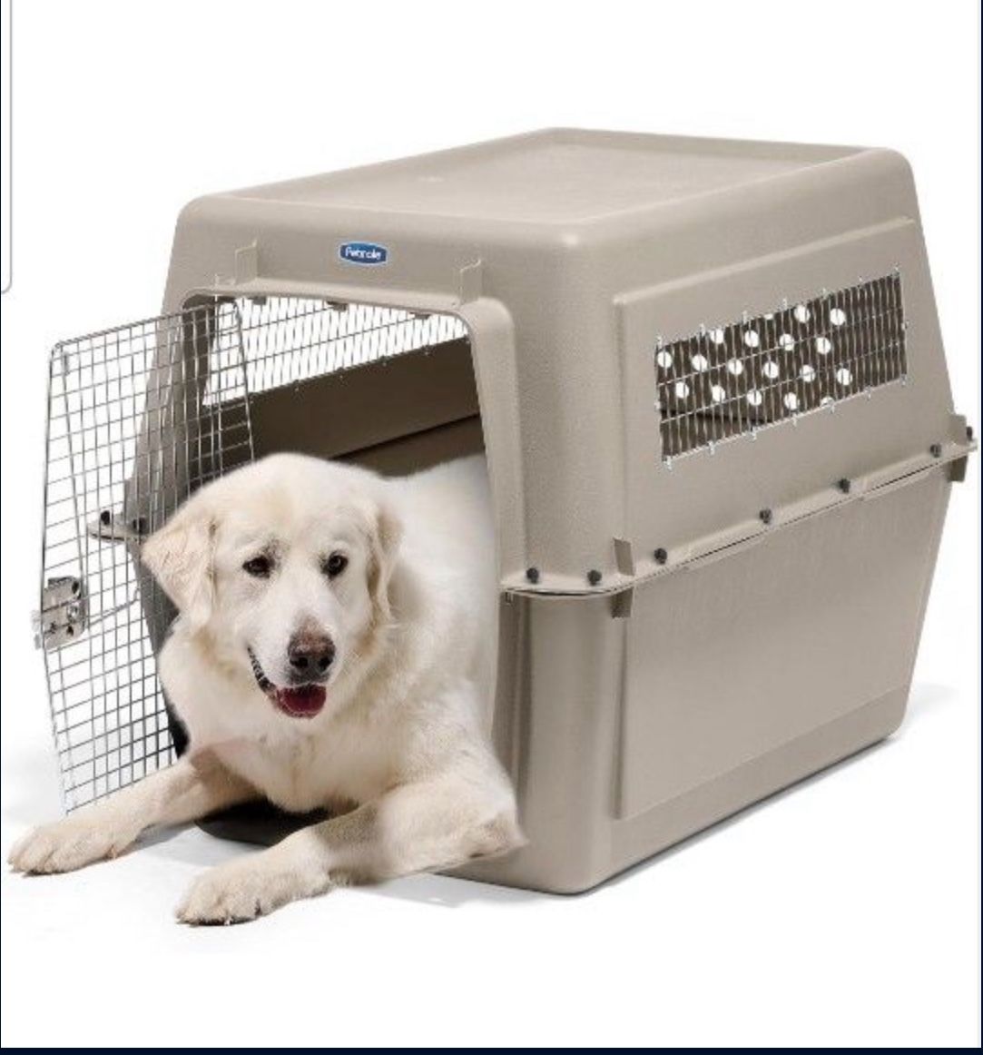 Dog Kennel