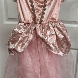 Child Renaissance Princess Costume Size 5-6 Yo Just $5 