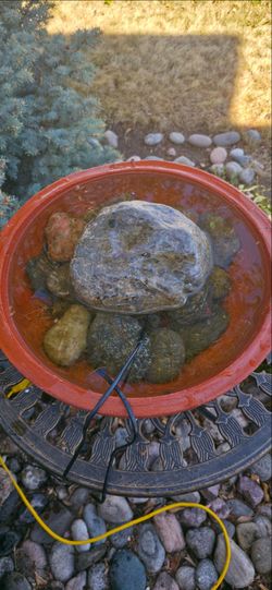 Bubbling Birdbath. Strong