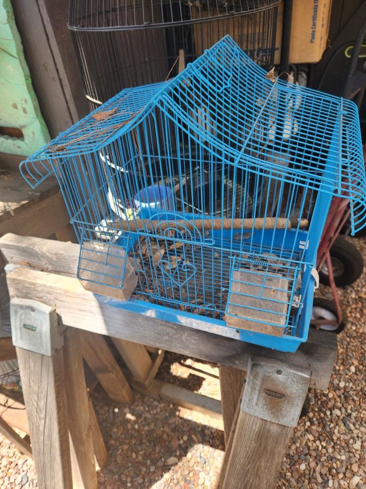 Bird Cage