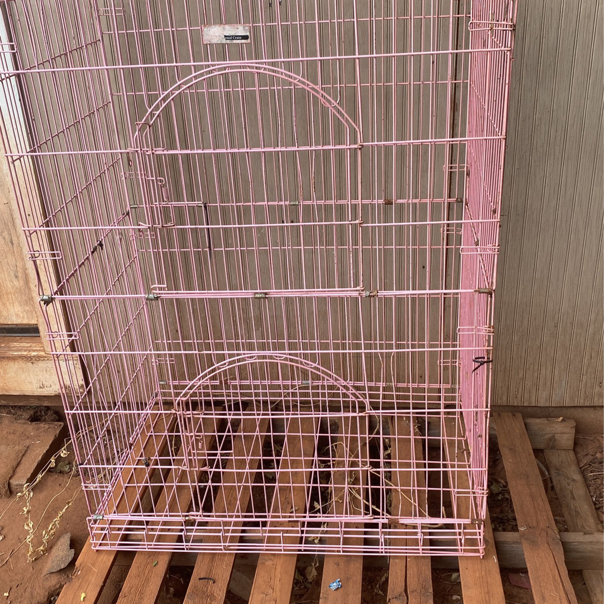 Pink Bird Cage 