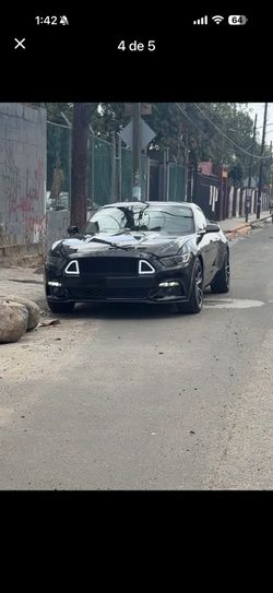 Mustang