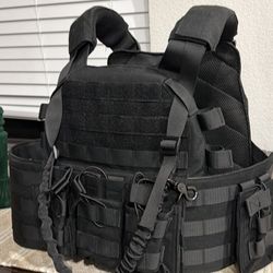 Ballistic Best With Plates 