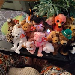 19 Ty Beanie Baby's 