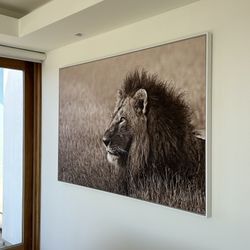 White framed portrait giant lion head 