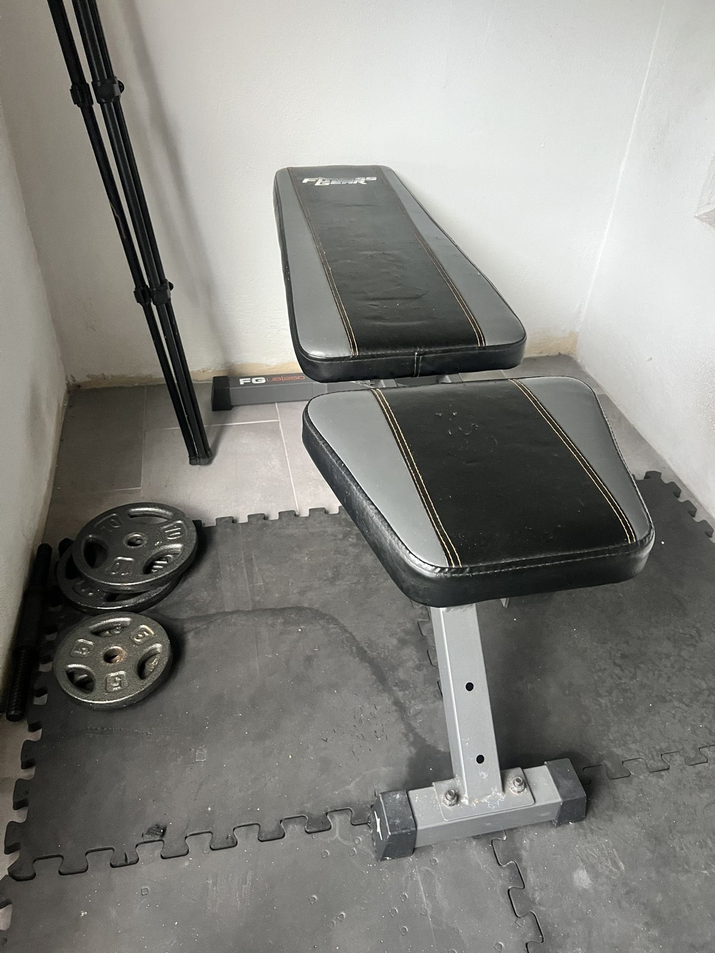 Workout Bench with Weights, Curve Bar