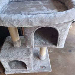 Cat House