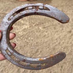 Over 450 Rustic Used Horse Shoes
