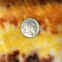 Dateless Buffalo Nickel