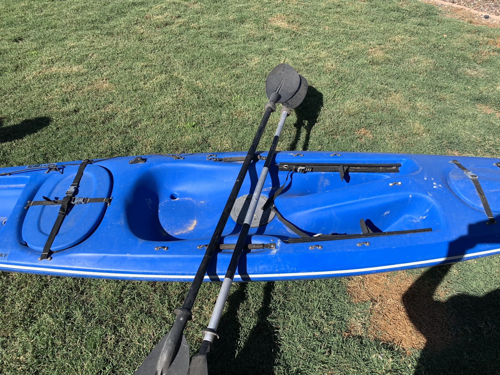 Necky Kayak/Dolphin for Sale in Waddell, AZ OfferUp