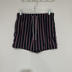 Abercrombie & Fitch Swim Trunks 