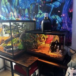 10 Gallon Terrarium 