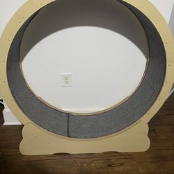 Large Cat wheel