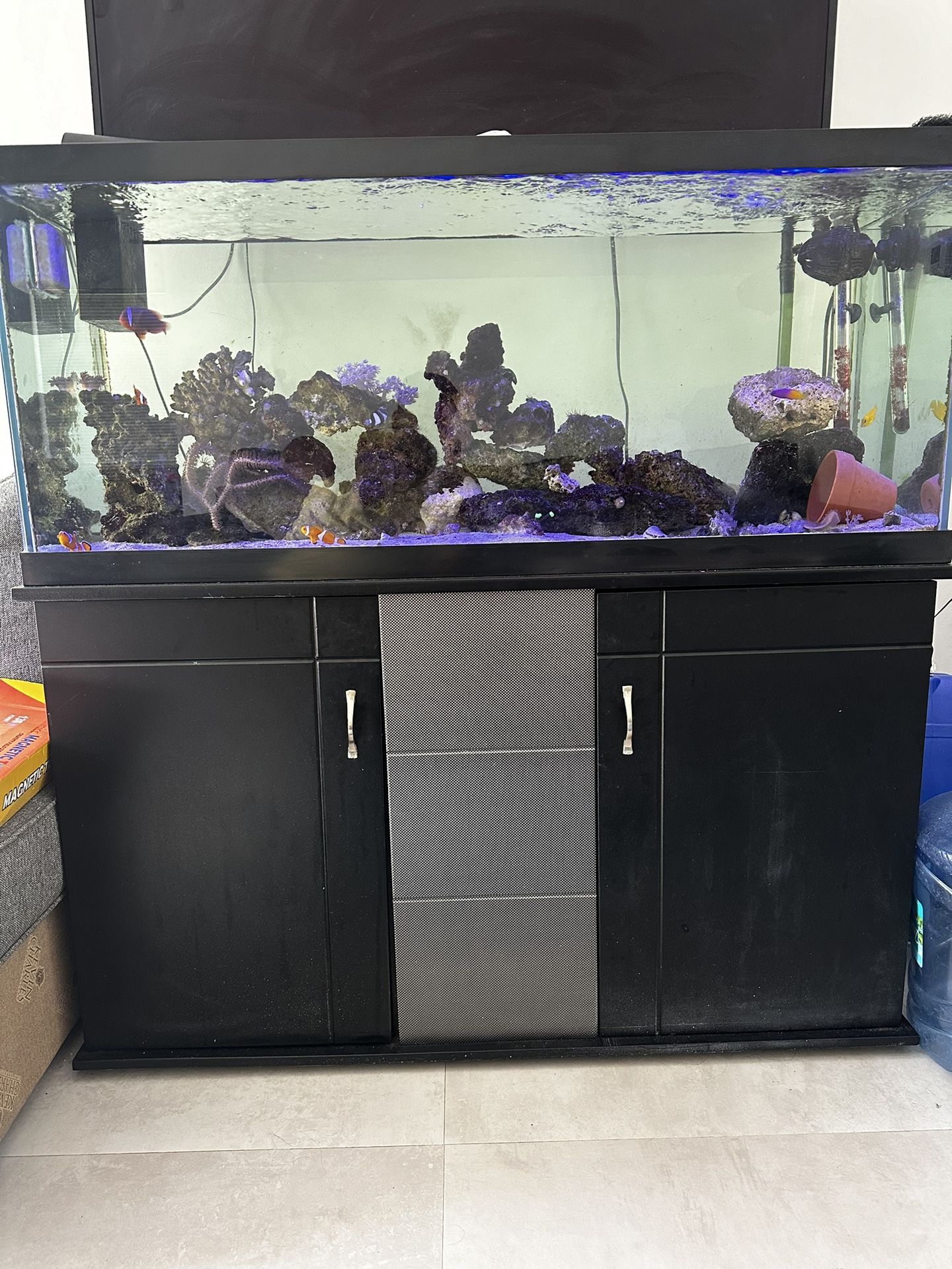 aquarium saltwater tank 75 gallon 