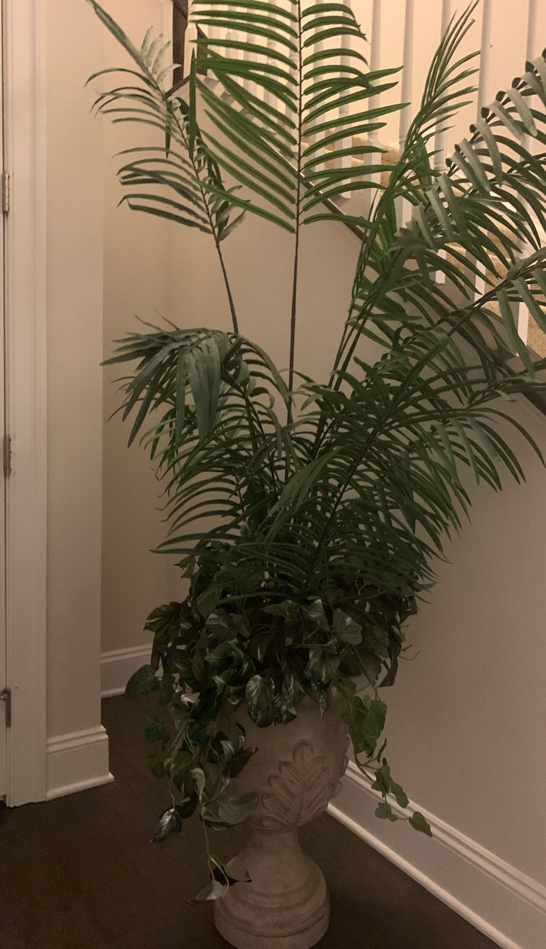 Tree plant for decoration