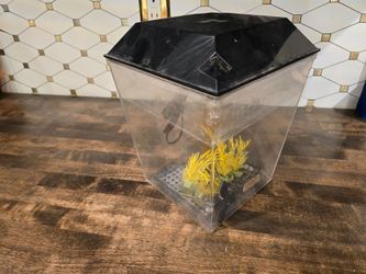 Aqua Culture 1 Gal Tank