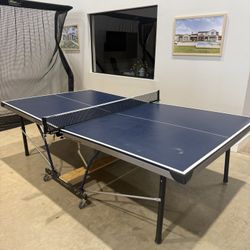 Ping Pong Table 
