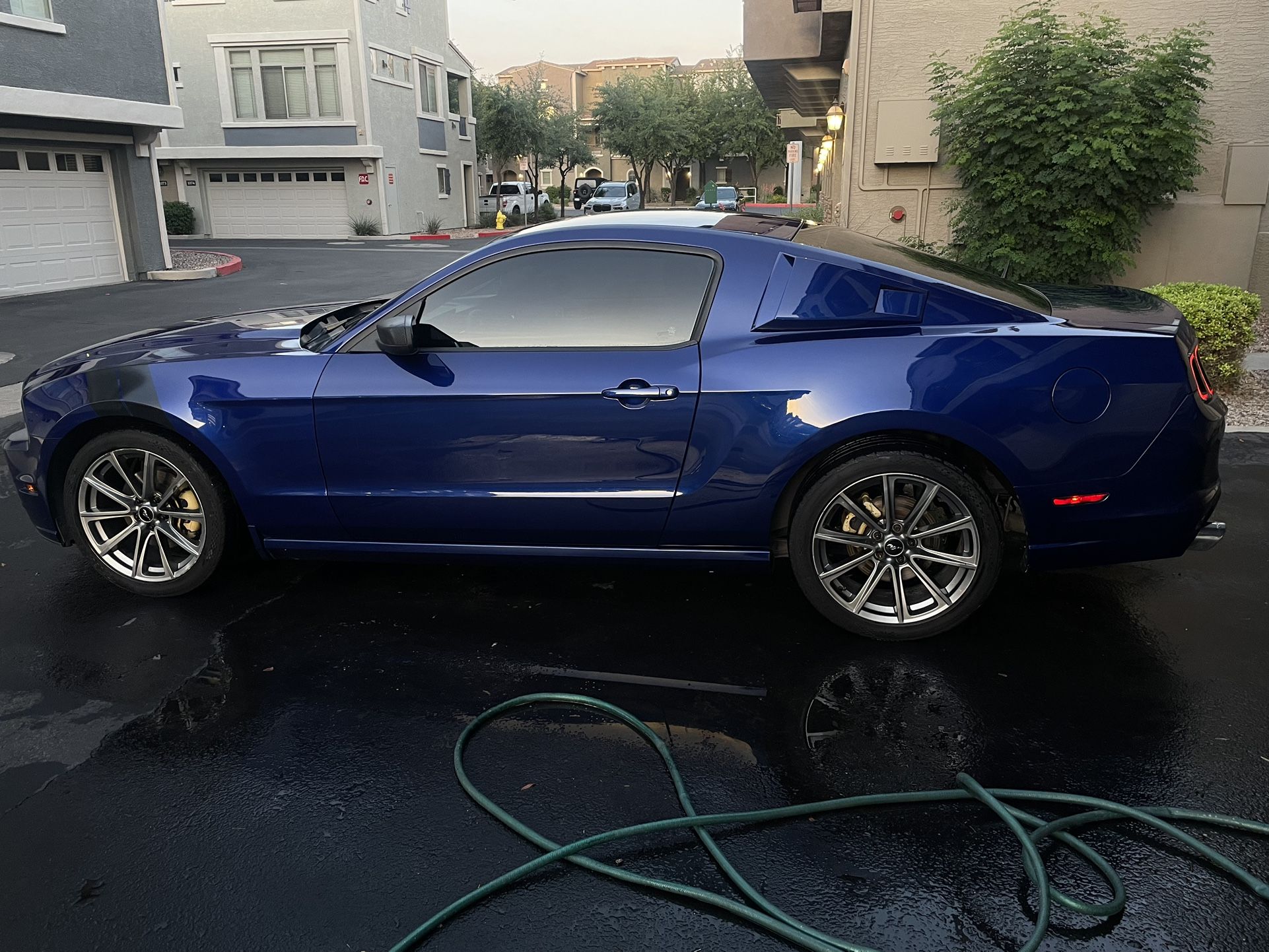 2013 Ford Mustang