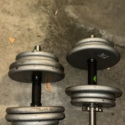 Adjustable Dumbbells 