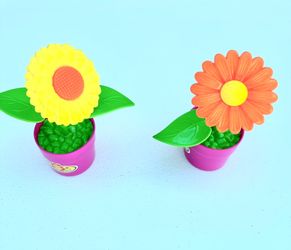 garden set for kids - 36 pieces – science – Home, Classroom, flower, plant, life cycle