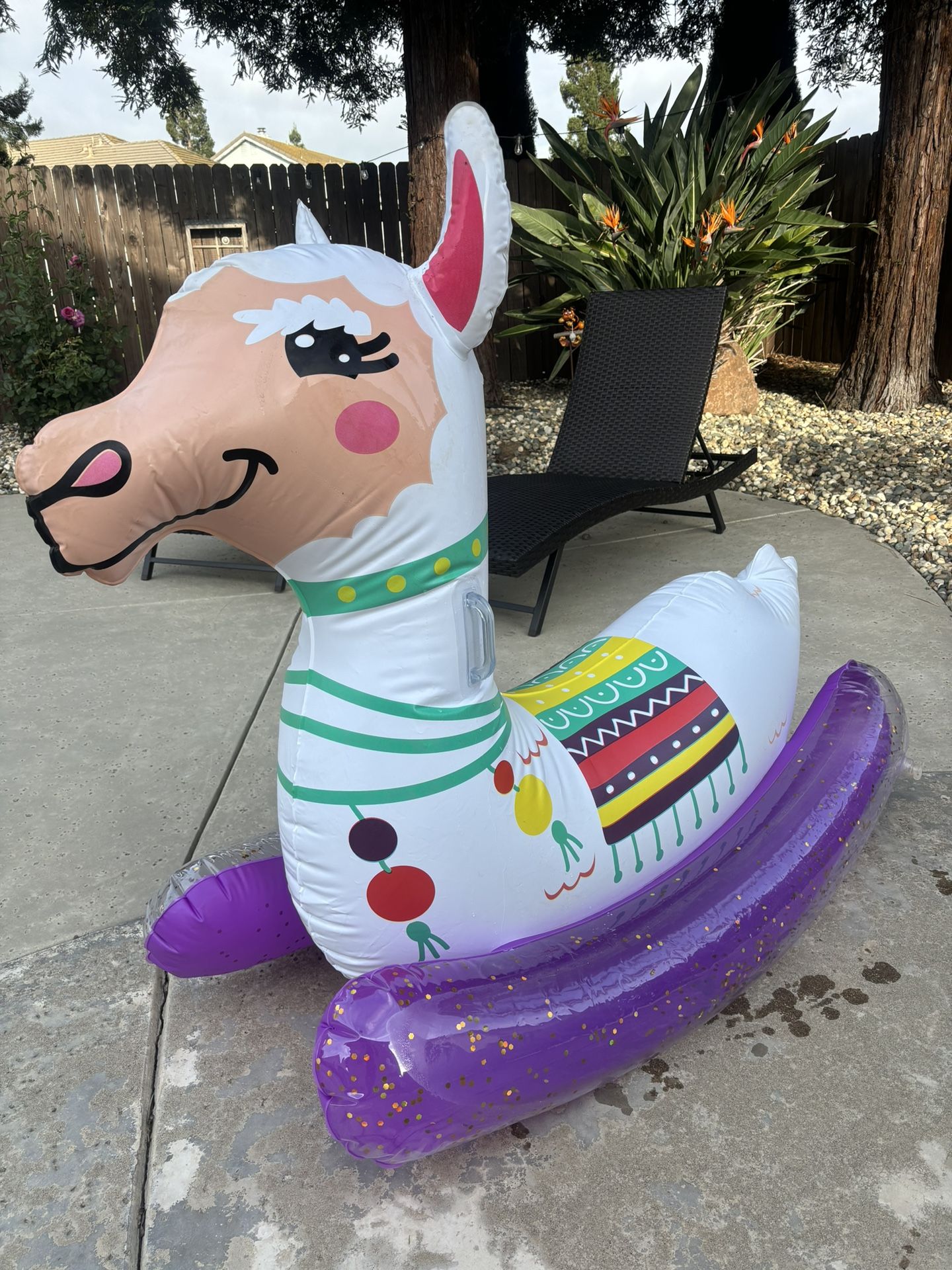 Pool Toy Float 