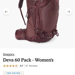Gregory Backpack 