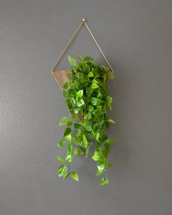Geometric Wall Plant Holder Decor