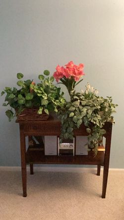 Beautiful Silk Plants