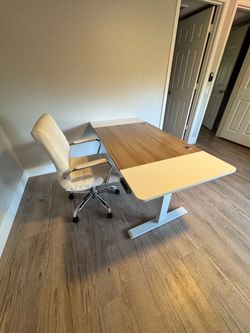 Electric Standing Desk